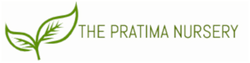 The Pratima Nursery
