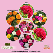 Load image into Gallery viewer, Fresh Flower Seeds (7 Packets, Mix ,1gm each) Natural Flowering Seeds for Home Gardening | All Season Flower Seeds for Indoor and Outdoor | Flower Seeds for Terrace and Balcony Pots
