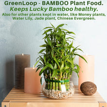 Load image into Gallery viewer, GreenLoop - Bamboo Plant Food (&amp; for Money Plants) - Liquid Fertilizer for Aquatic Plants (in Water), Two Bottles, Each 30 ml.
