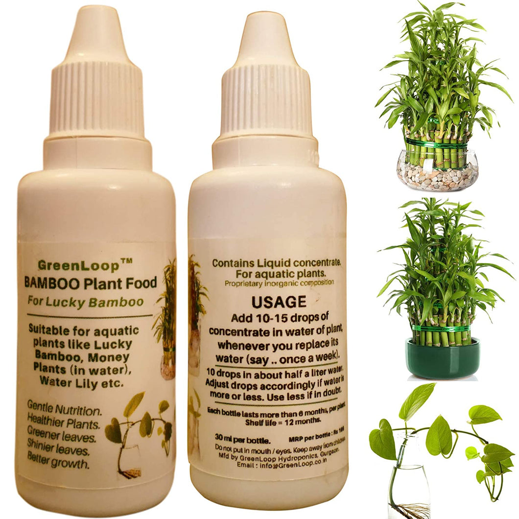 GreenLoop - Bamboo Plant Food (& for Money Plants) - Liquid Fertilizer for Aquatic Plants (in Water), Two Bottles, Each 30 ml.