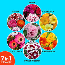 Load image into Gallery viewer, Fresh Flower Seeds (7 Packets, Mix ,1gm each) Natural Flowering Seeds for Home Gardening | All Season Flower Seeds for Indoor and Outdoor | Flower Seeds for Terrace and Balcony Pots
