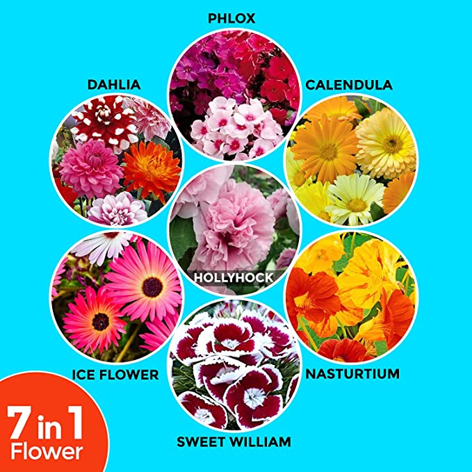 Fresh Flower Seeds (7 Packets, Mix ,1gm each) Natural Flowering Seeds for Home Gardening | All Season Flower Seeds for Indoor and Outdoor | Flower Seeds for Terrace and Balcony Pots
