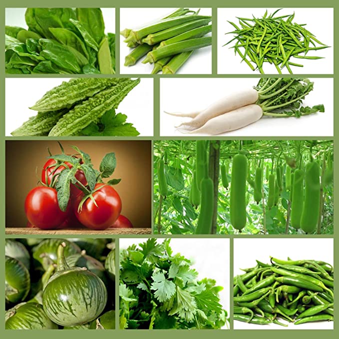 Only For Organic Summer Hybrid Vegetable Seeds With Instruction Manual (Pack of 10 Variety)