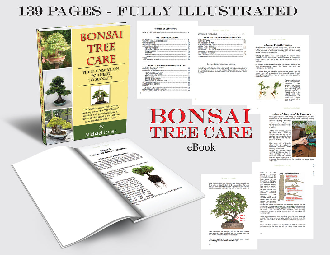 The Bonsai Tree Care System
