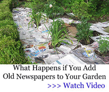 Load image into Gallery viewer, Medicinal Garden Kit - BRAND NEW!
